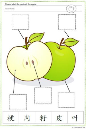 Apple-theme Chinese Learning Pack - parts of an apple activity worksheet in Chinese #Chinese4kids #Chineselearning #MandarinChinese #Chinesetheme #apple #fall #learningpack #Chineselearningpack #Chineseforkids #Chineselanguage #Chineselearningworksheet #worksheet #partsofapple