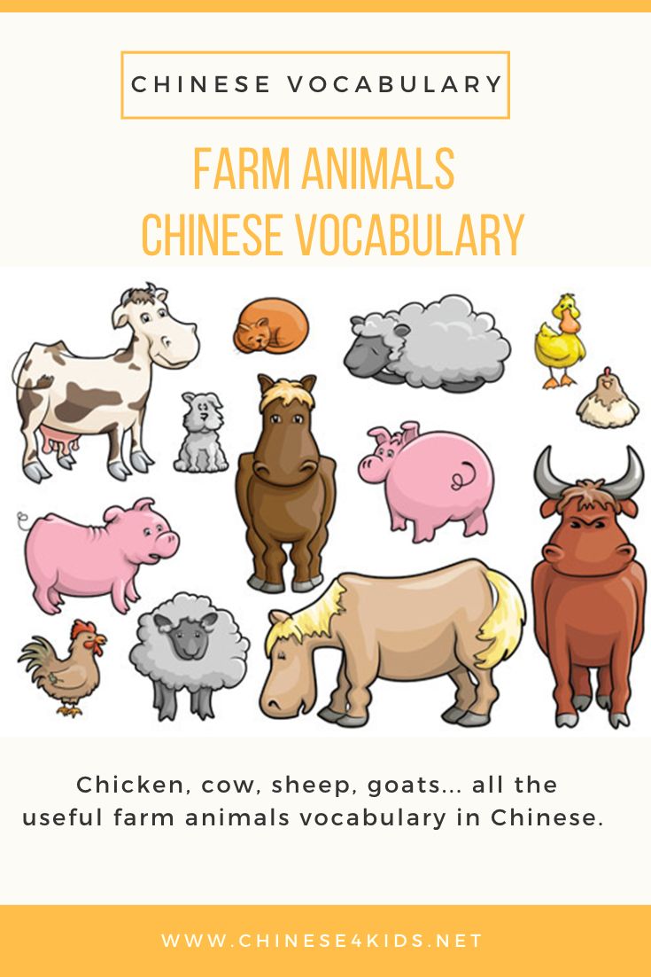 Learn Farm Animals Chinese Vocabulary