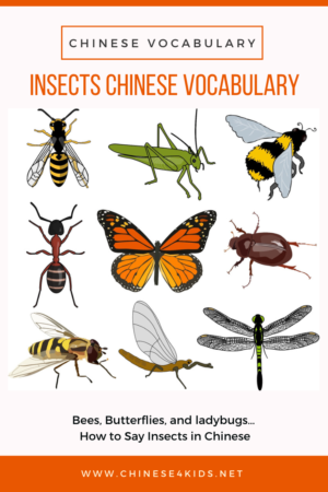 Chinese vocabulary of zoo animals, learn zoo animals Chinese vocabulary #Chinese4kids #zoo #MandarinChinese