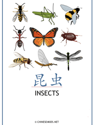 Insects Theme Pack for Kids - learn Chinese about Insects with different learning materials. #Chinese4kids #LearnChinese #ThemedChineseLearning