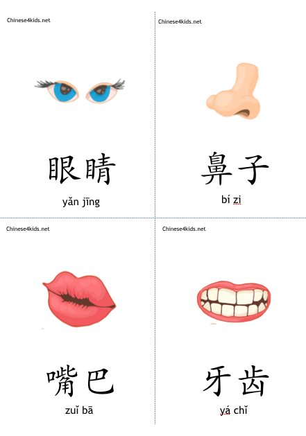 body parts Chinese Vocabulary #Chinesevocabulary #learnChinese #mandarinChinese #Chineseforkids #Chineselanguage