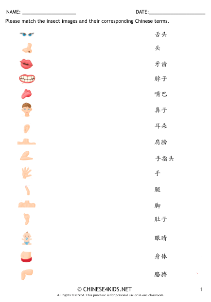 body parts Chinese Vocabulary #Chinesevocabulary #learnChinese #mandarinChinese #Chineseforkids #Chineselanguage #worksheet