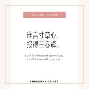 Chinese Proverbs on Gratitude How Chinese Express Thankfulness