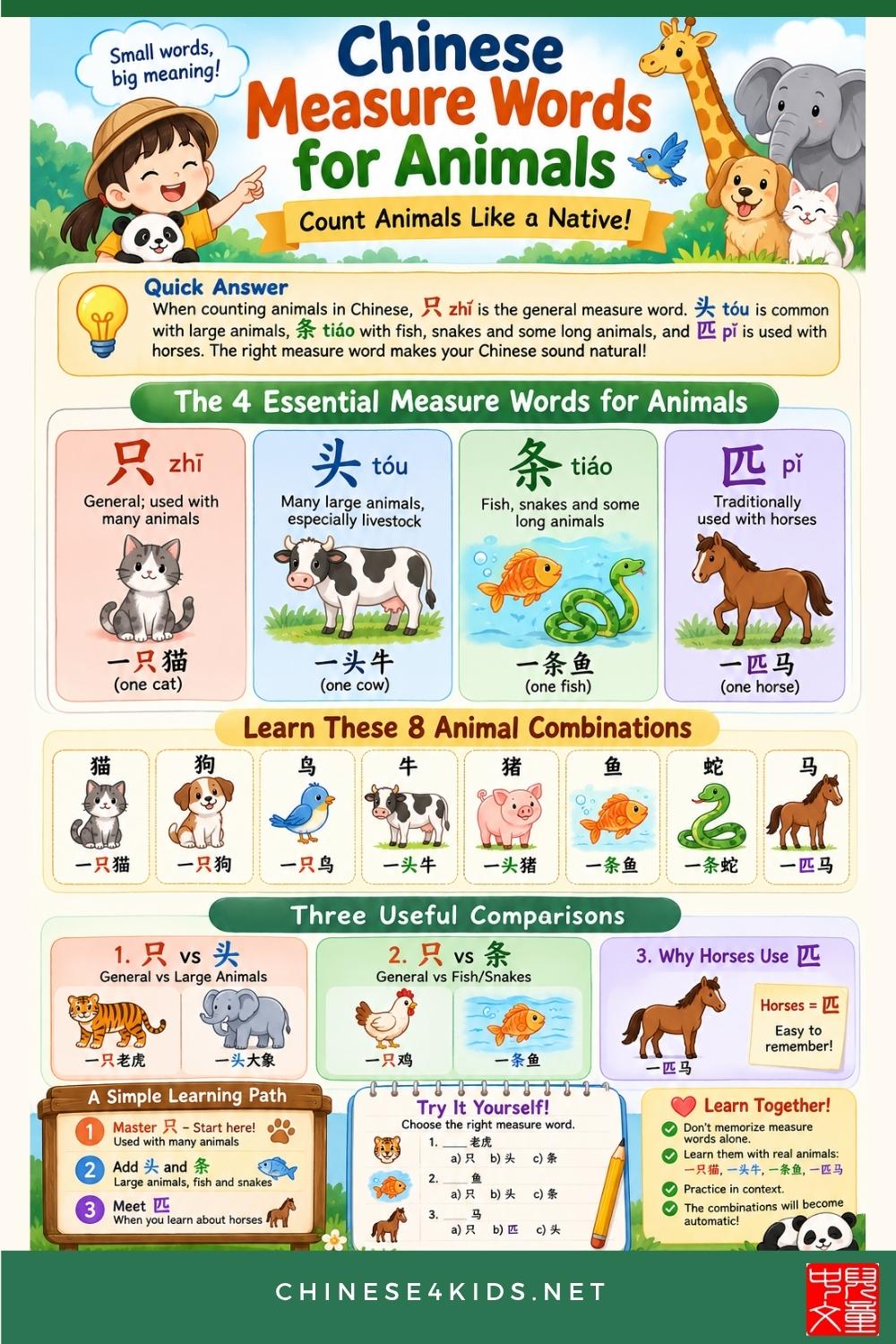 Master Chinese measure words for animals: 只, 头, 条, 匹. Learn the size and shape logic, see visual examples, practice with questions.