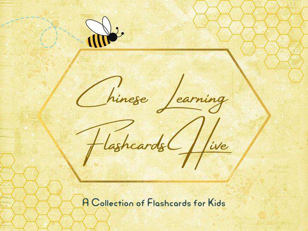 Chinese learning flashcards hive