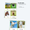 Mom and Baby farm animals Chinese Montessori flashcards for kids #Chinese4kids #learnChinese #flashcards #Montessori