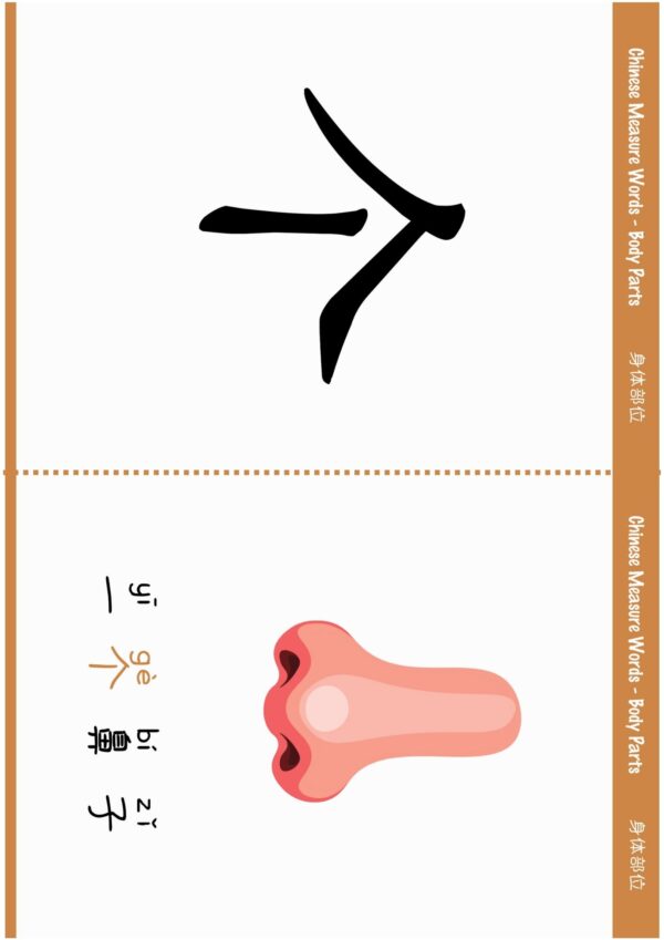 Measure Words for Body PartsMontessori 3-part Chinese flashcards #Chinese4kids #learnChinese #Chineseforkids #measurewords #Chinesevocabulary