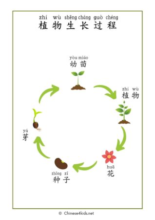 Gardening - Plants Chinese learning pack for kids #Chinese4kids #learnChinese #learningpack