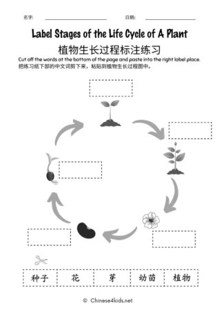 Gardening - Plants Chinese learning pack for kids #Chinese4kids #learnChinese #learningpack