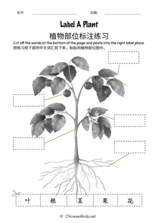 Gardening - Plants Chinese learning pack for kids #Chinese4kids #learnChinese #learningpack