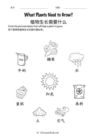 Gardening - Plants Chinese learning pack for kids #Chinese4kids #learnChinese #learningpack