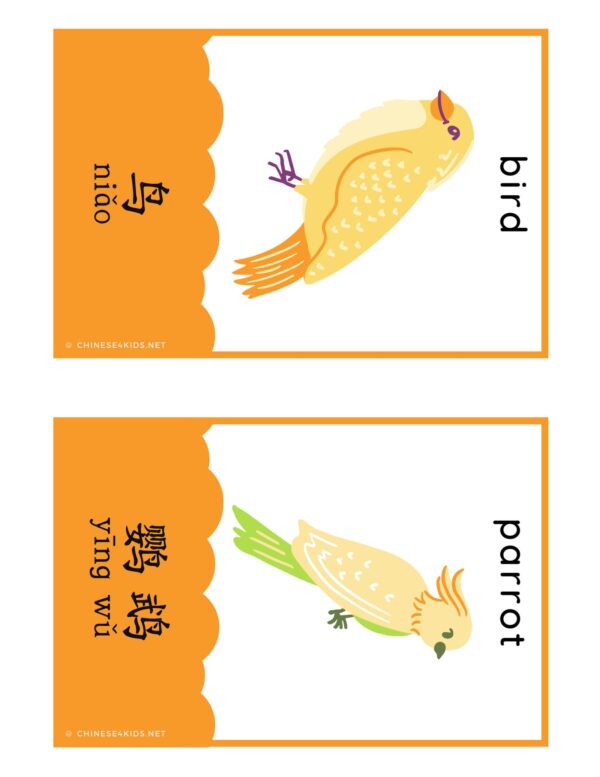Pets Montessori Chinese learning flashcards