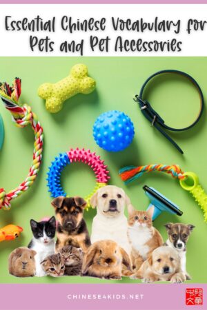 Essential Chinese Vocabulary for Pets and Pet Accessories #Chinese4kids #Chinesevocabulary #learnChinese #Chineseforbeginners #easyChinese #basicChinese #mandarinChinese #Chineseasanadditionallanguage