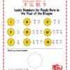 Year of the dragon Chinese learning pack for kids - learn about the Lunar year of the dragon, lucky numbers, flowers, and color for a person born in the year of Dragon, fun activities to learn about the year of Dragon, Dragon and celebrate the Chinese New Year with coloring and making greeting cards.