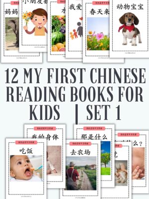 My First Chinese Reading set 1 | book 1-12 of My First Chinese Reading series | Reading books for Chinese students