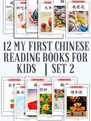 My First Chinese Reading set 2 | book 13-24 of My First Chinese Reading series | Reading books for Chinese students
