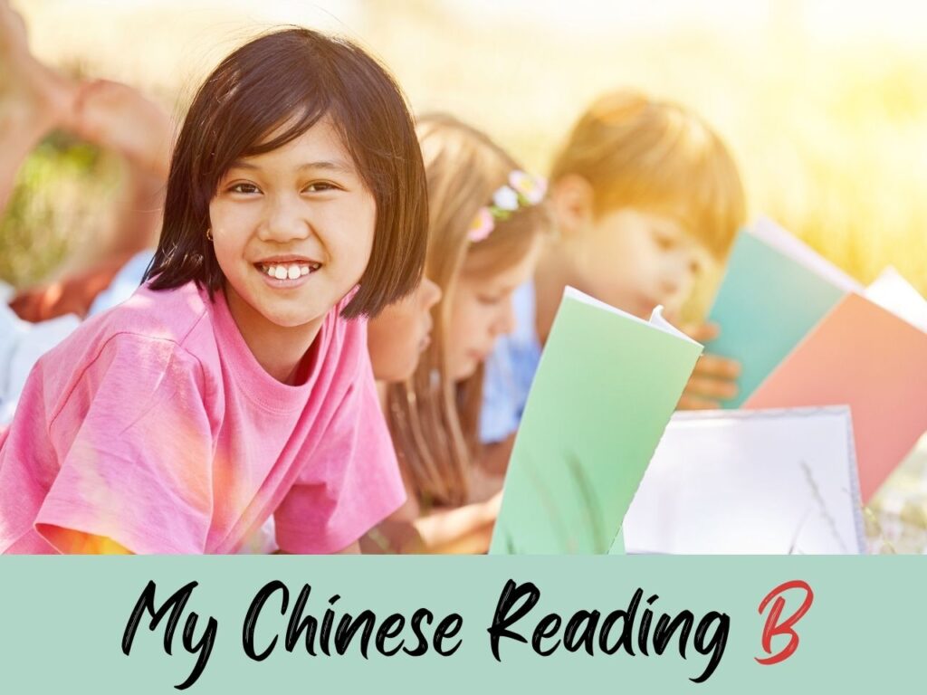 My Chinese reading level B - books for Chinese students to develop Chinese language literacy.