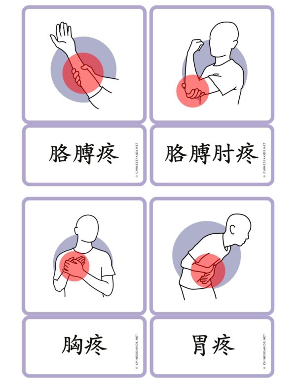 Body Pain Chinese Vocabulary Montessori Flashcards