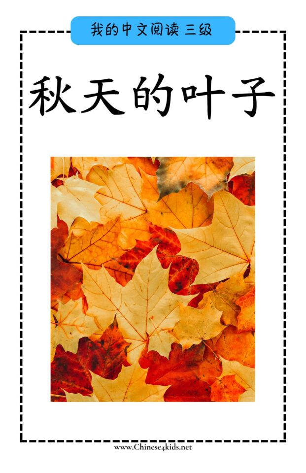 Chinese reading level C book - 秋天的叶子 Autumn Leaves