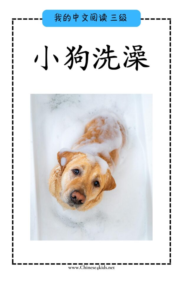 Chinese Reading level C book - 小狗洗澡 Puppy's Bath: