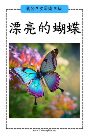 Chinese Reading level C book - 漂亮的蝴蝶 Beautiful Butterflies