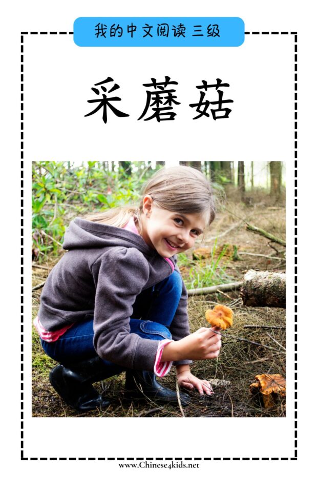 Chinese Reading level C book - 采蘑菇 Picking Mushrooms