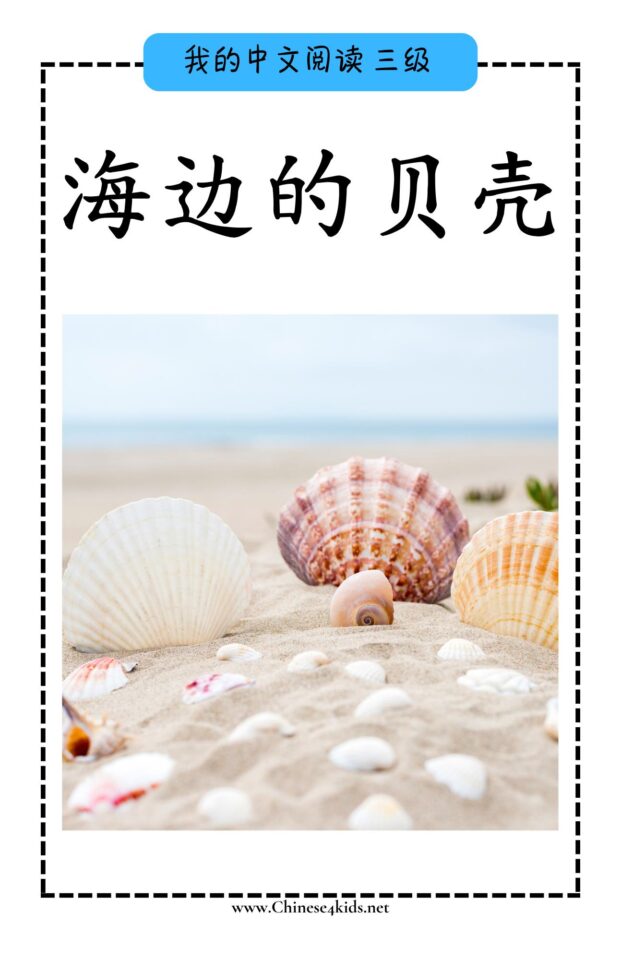 Chinese Reading level C book - 海边的贝壳 Seashells by the Sea