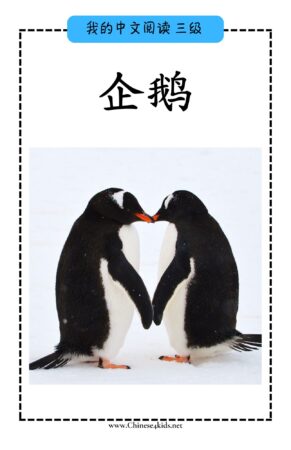 Chinese Reading level C book - 企鹅 Penguins