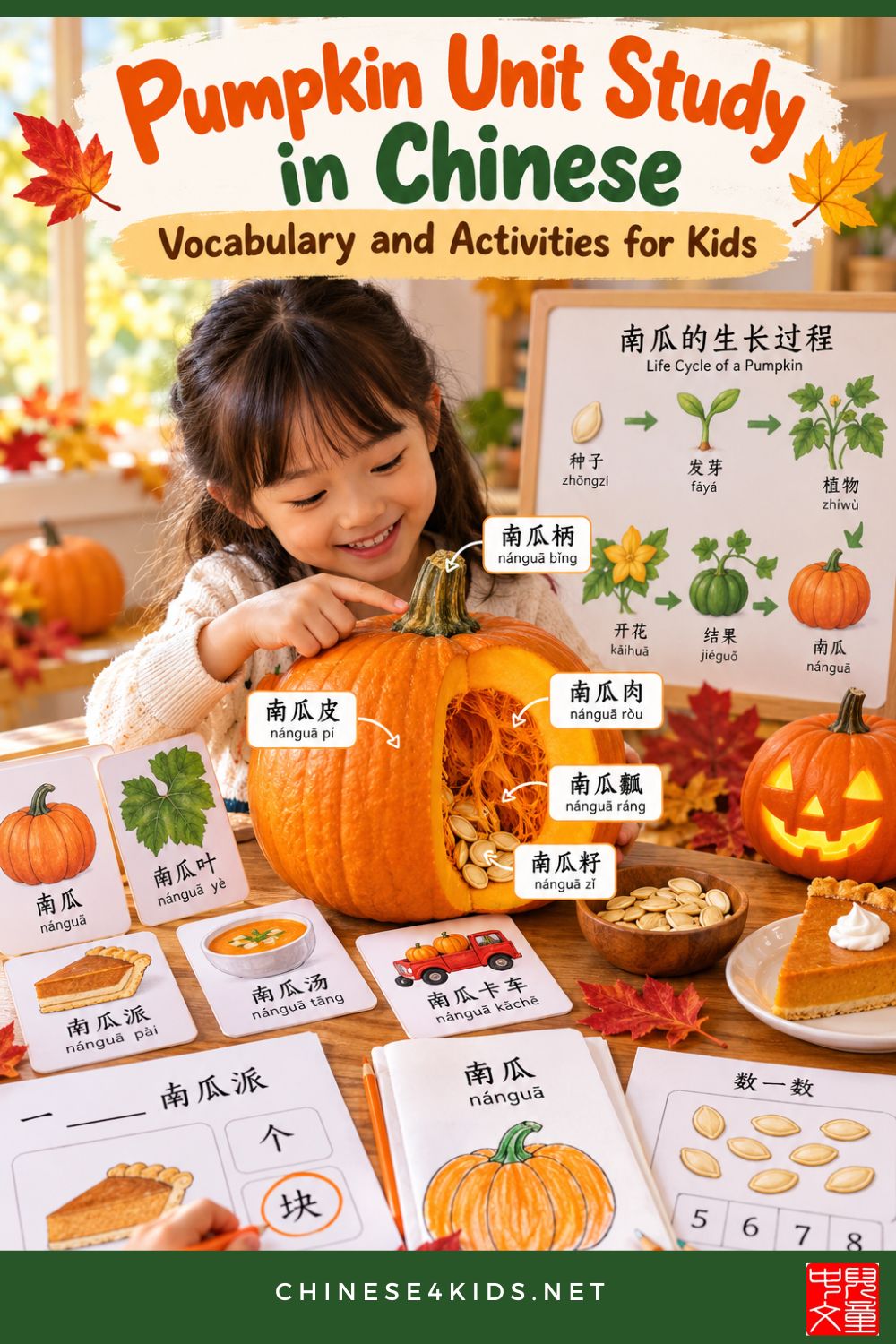 Learn pumpkin words in Chinese with pinyin, measure words, simple sentences, and easy activities. A pumpkin unit study for kids.