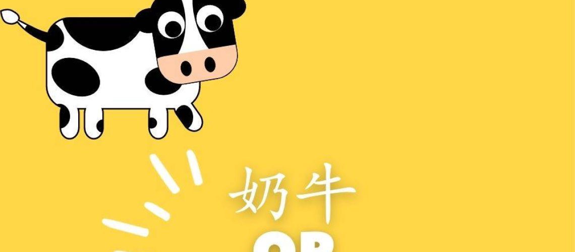 Some Chinese words can be different when the characters are reversed. Found out the four groups of words that fall into this category. Great for Chinese vocabulary learning. #Chinese4kids #Chineselearning #Chinesevocabulary #LearnChinese #mandarinChinese #Chineseforchildren