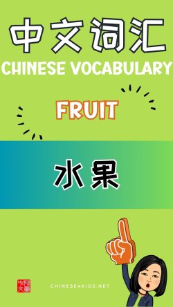 Chinese thematic words - Fruit