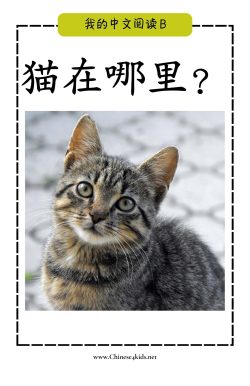 B04 猫在哪里 wo pinyin