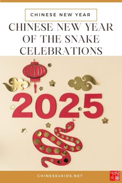 Chinese new year of the snake celebrations