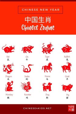 Chinese Zodiac Fun: Exploring Animal Signs in Language Lessons #Chinese4kids #Lunaryear #Chinesenewyear #zodiacanimals #Chinesezodiac #learnaboutChinesezodiac #生肖 #龙年 #中国新年 #春节 #12生肖