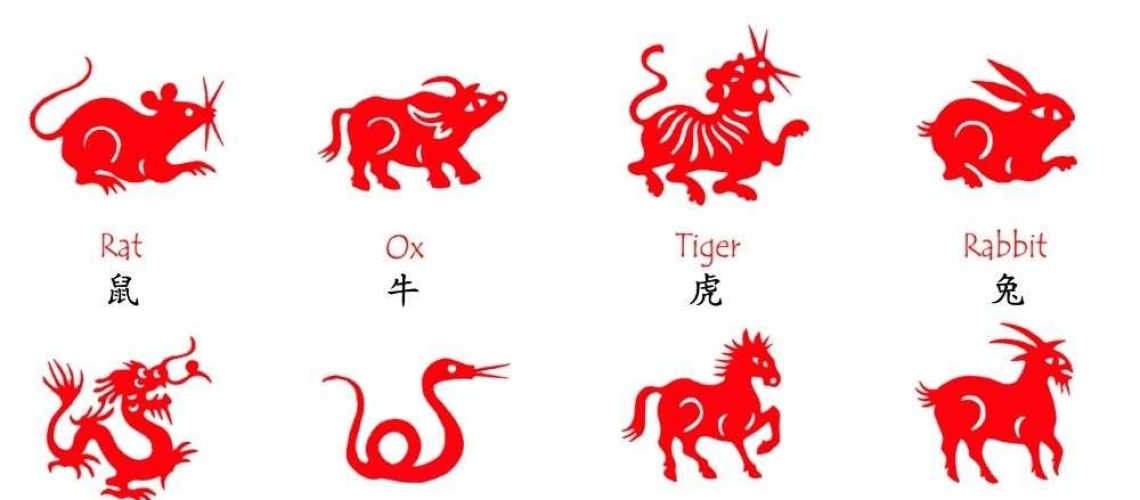 Chinese Zodiac Fun: Exploring Animal Signs in Language Lessons #Chinese4kids #Lunaryear #Chinesenewyear #zodiacanimals #Chinesezodiac #learnaboutChinesezodiac #生肖 #龙年 #中国新年 #春节 #12生肖