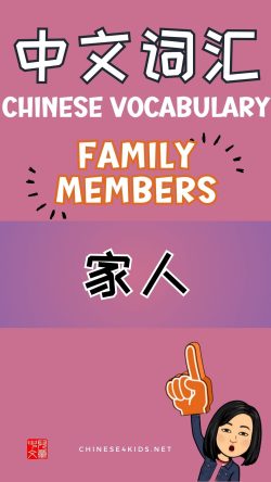 Chinese thematic words -family members