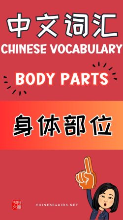 Chinese thematic words -body parts