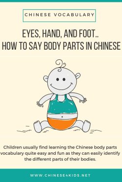 Eyes, Hand, and Foot.. How to Say Body Parts in Chinese