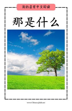 MFR book 10 那是什么 wo pinyin
