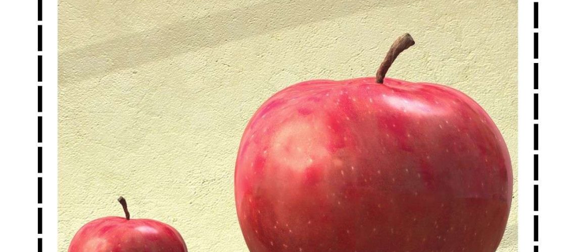 MFR book 16 大和小 w pinyin