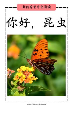 MFR book 22 你好 昆虫 wo pinyin