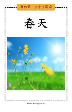 Spring 春天