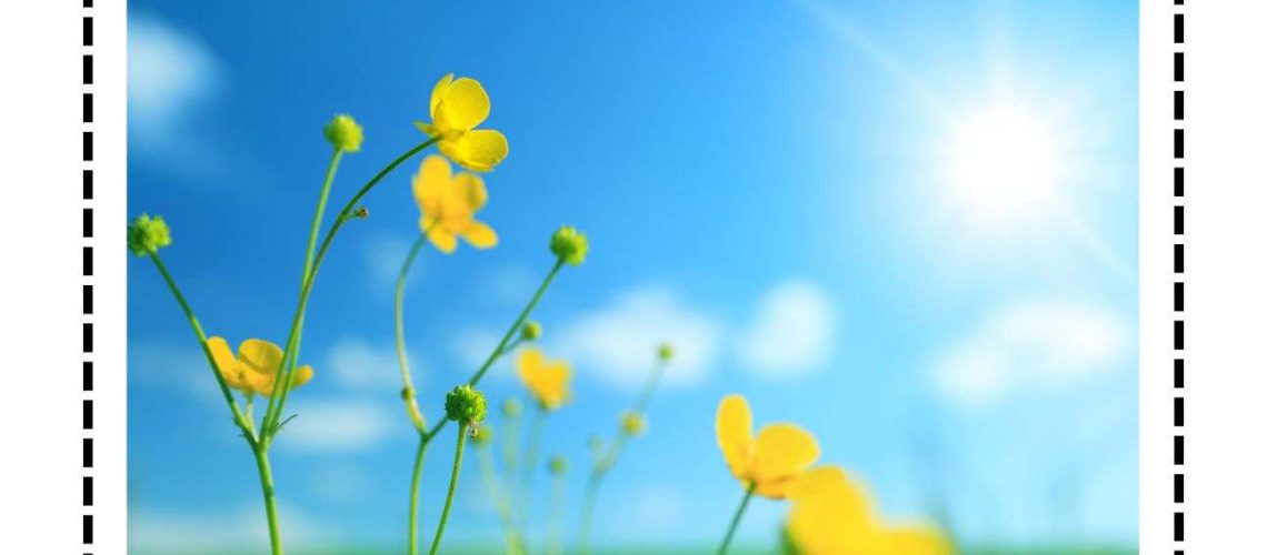 - Chinese Reading books level aa