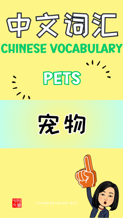 Chinese thematic words -pets