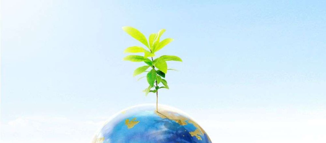 By mastering Earth Day Chinese vocabulary with Montessori flashcards, children not only expand their language skills but also develop a deeper understanding of environmental concepts. They learn to appreciate the Earth's beauty and the importance of preserving it for future generations.