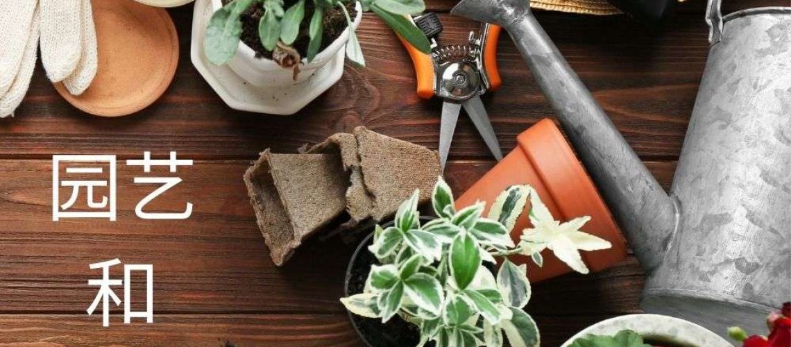 Gardening and plants Chinese learning activities for kids #Chinese4kids #learnChinese #mandarinChinese