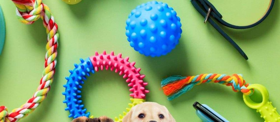 Essential Chinese Vocabulary for Pets and Pet Accessories #Chinese4kids #Chinesevocabulary #learnChinese #Chineseforbeginners #easyChinese #basicChinese #mandarinChinese #Chineseasanadditionallanguage