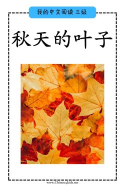 Chinese reading level C book - 秋天的叶子 Autumn Leaves