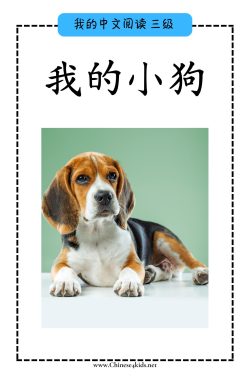 Chinese reading level C book 我的小狗