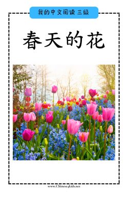 Chinese Reading level C book - 春天的花 Spring Flowers